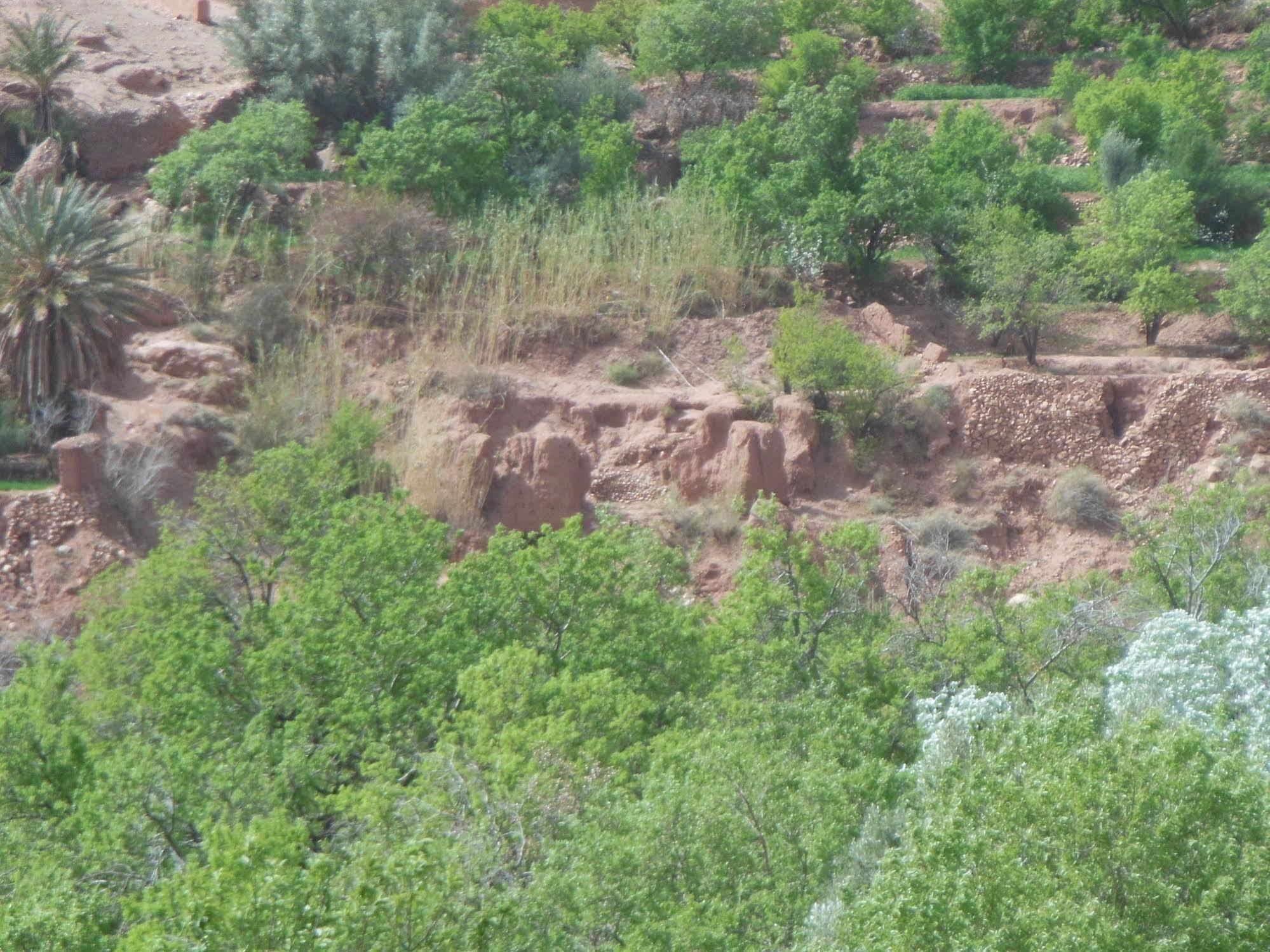 Kasbah Du Peintre Bed & Breakfast เอท เบน ฮัดโด ภายนอก รูปภาพ